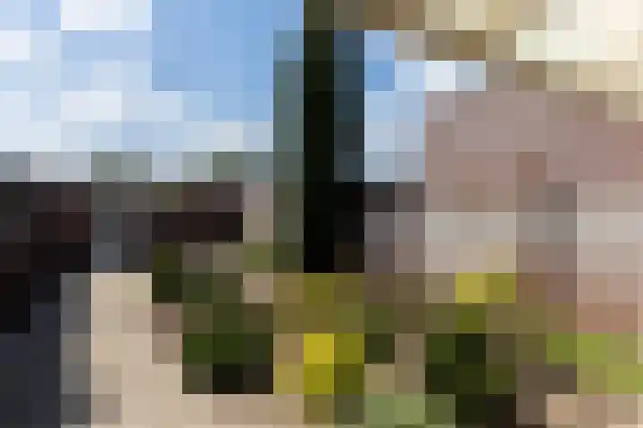 Nemerlaerhof 80 Helmond thumbnail 40