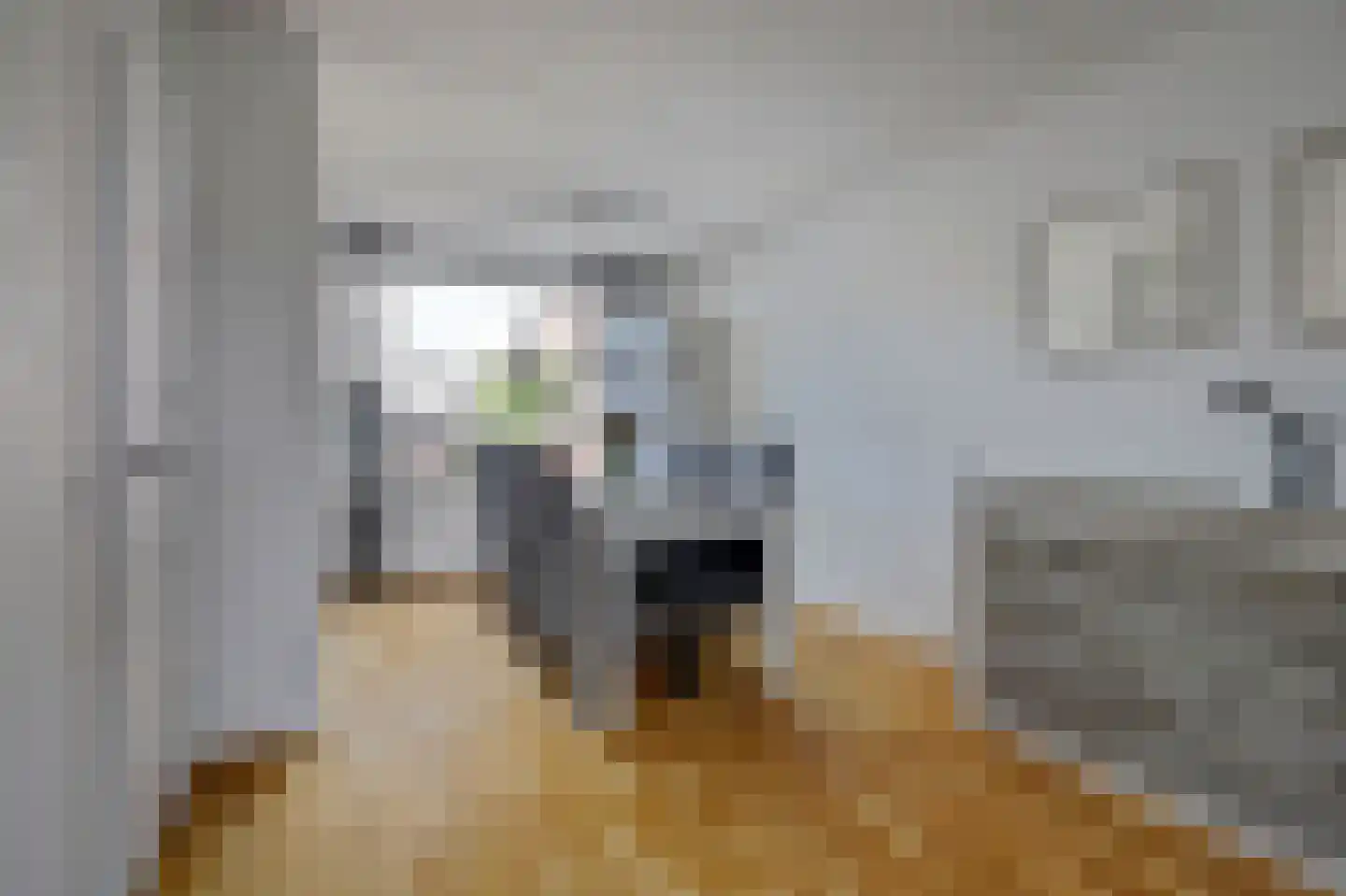 Nemerlaerhof 94 Helmond thumbnail 15