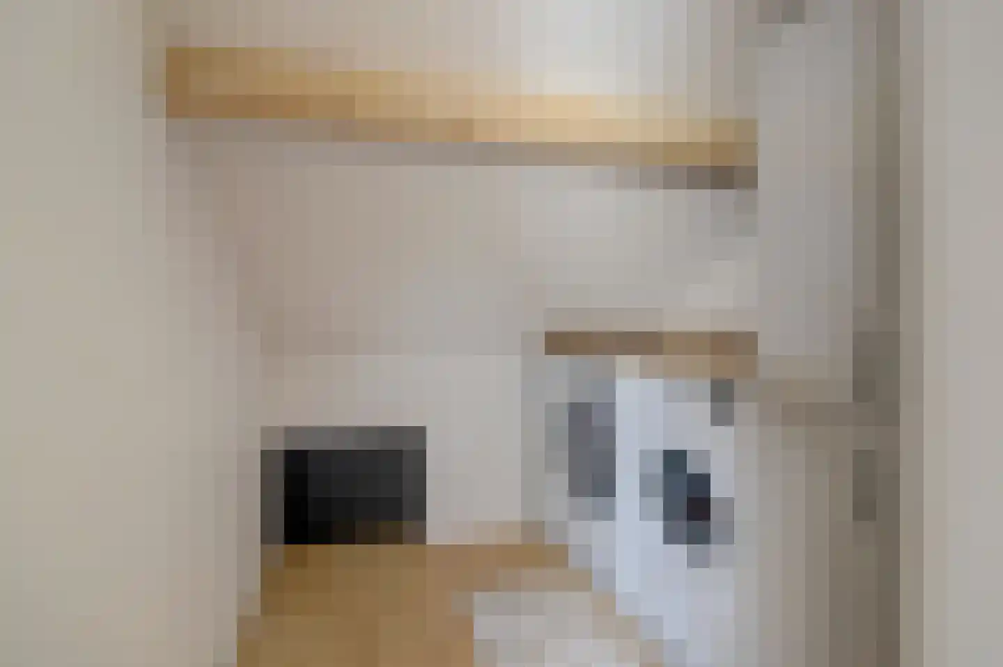 Nemerlaerhof 94 Helmond thumbnail 33