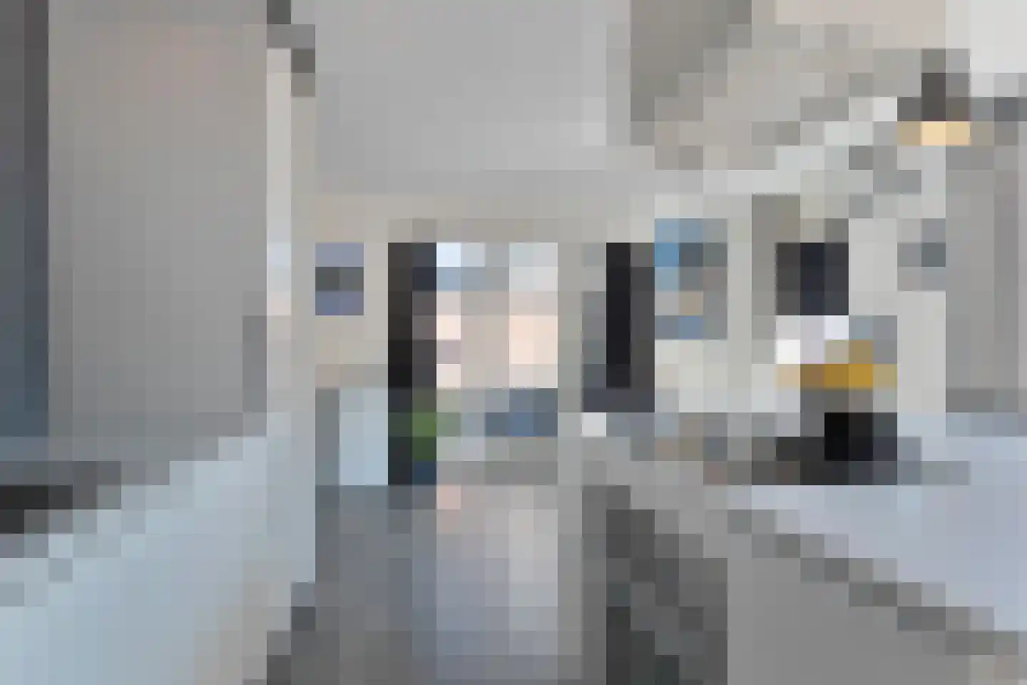 Neogotiekhof 25 Nootdorp thumbnail 10
