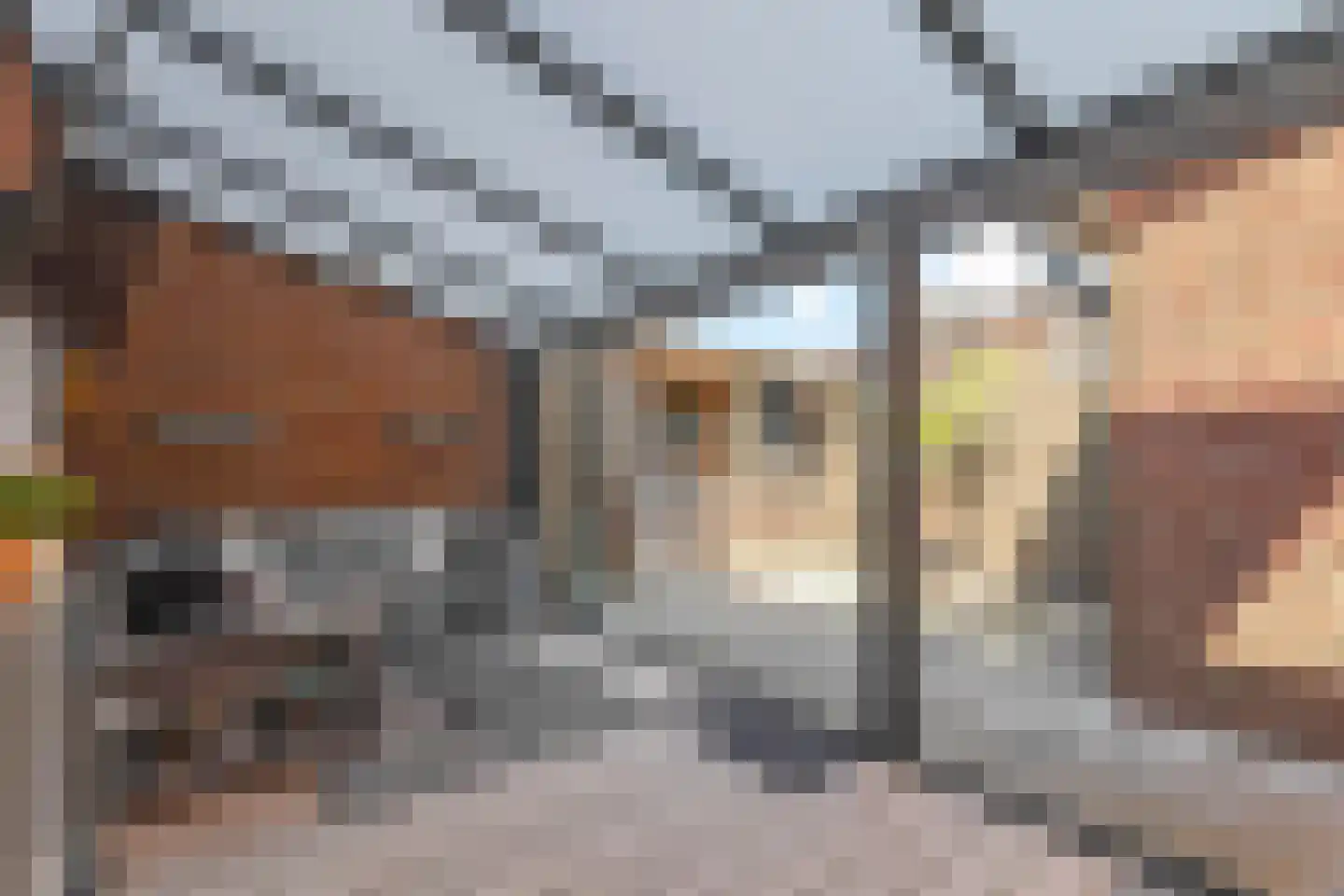 Neogotiekhof 25 Nootdorp thumbnail 13