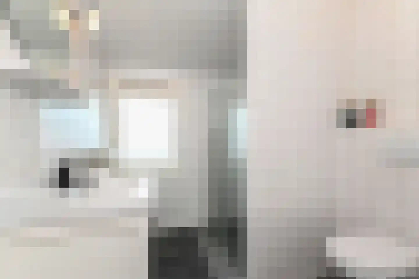 Neogotiekhof 25 Nootdorp thumbnail 30