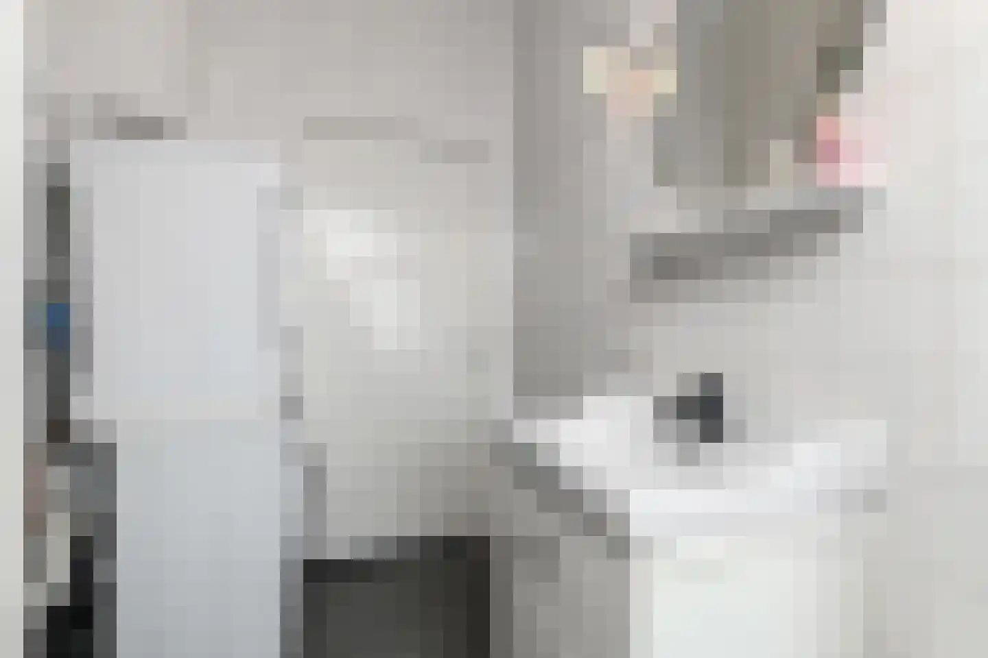 Neogotiekhof 25 Nootdorp thumbnail 32