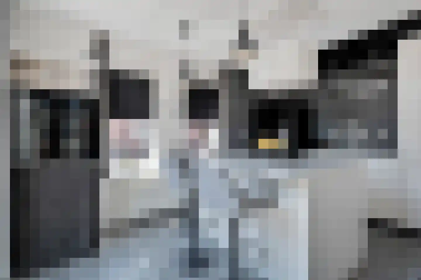 Neogotiekhof 25 Nootdorp thumbnail 8