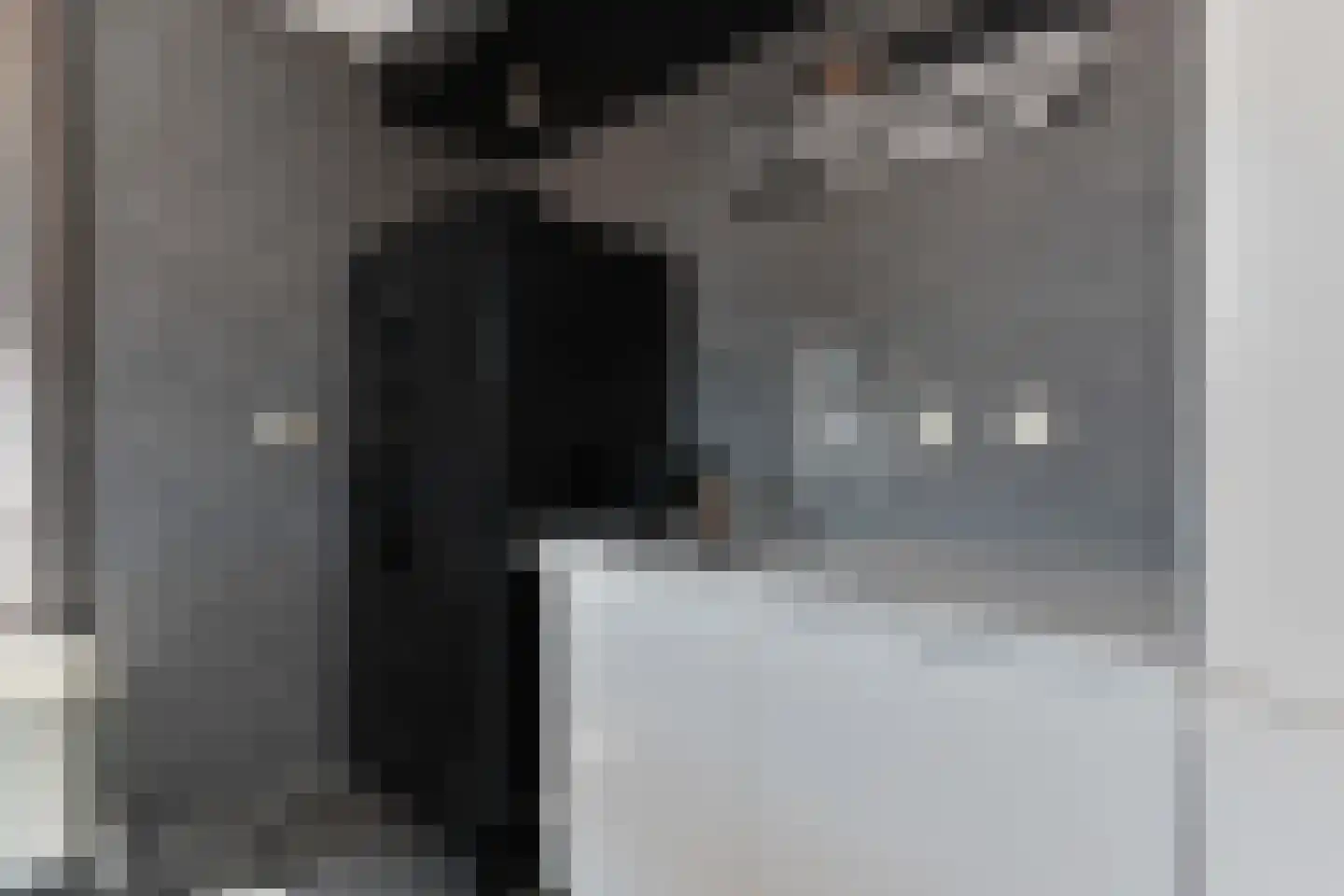 Neogotiekhof 25 Nootdorp thumbnail 9