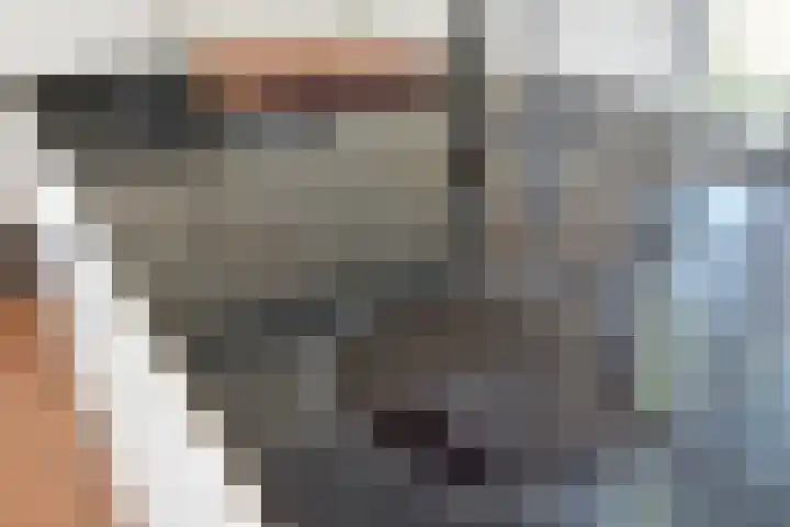 Neogotiekhof 4 Nootdorp thumbnail 14