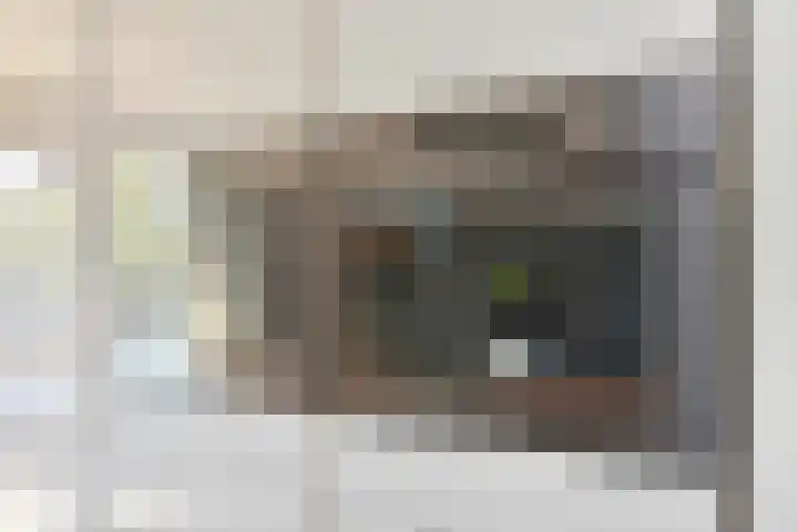 Neogotiekhof 4 Nootdorp thumbnail 16