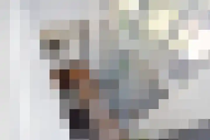 Neogotiekhof 4 Nootdorp thumbnail 25