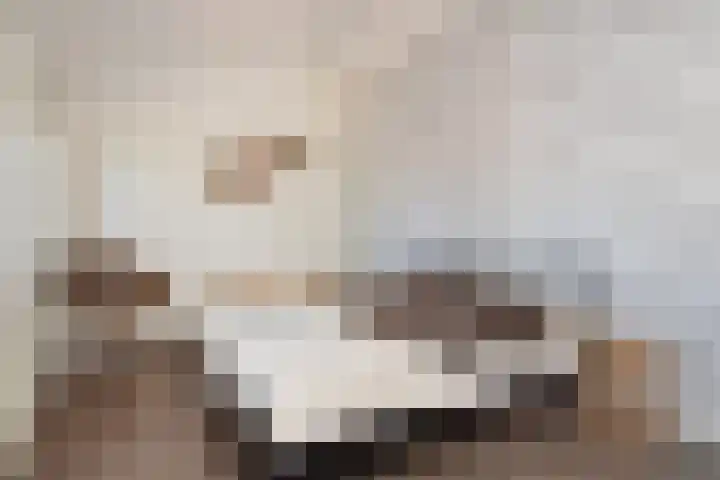 Neogotiekhof 4 Nootdorp thumbnail 31