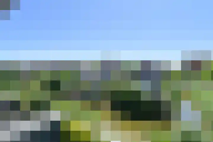 Neogotiekhof 4 Nootdorp thumbnail 40