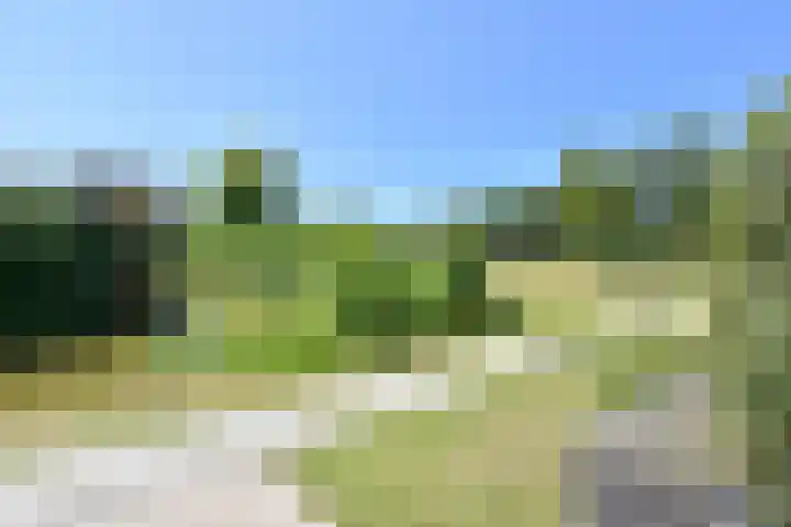 Neogotiekhof 4 Nootdorp thumbnail 46