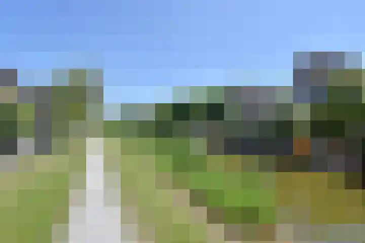 Neogotiekhof 4 Nootdorp thumbnail 47