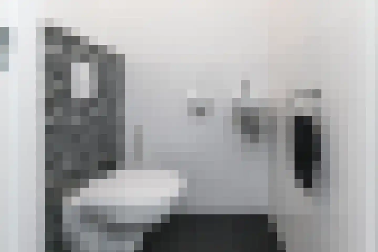 Neogotiekhof 60 Nootdorp thumbnail 11