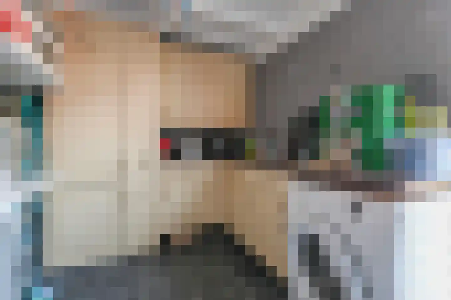 Neogotiekhof 60 Nootdorp thumbnail 19