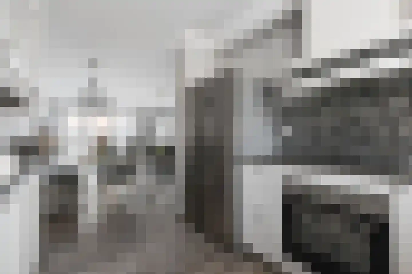 Neogotiekhof 60 Nootdorp thumbnail 25