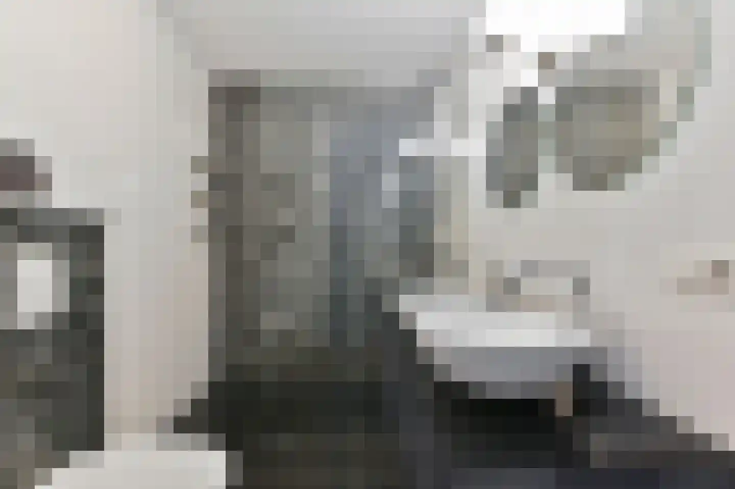 Neogotiekhof 60 Nootdorp thumbnail 37