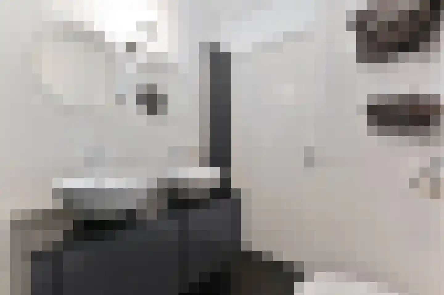 Neogotiekhof 60 Nootdorp thumbnail 38