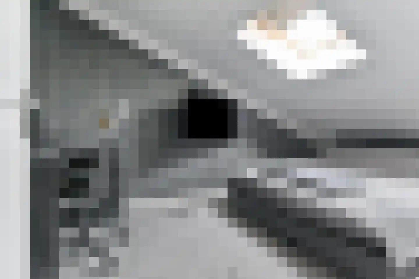 Neogotiekhof 60 Nootdorp thumbnail 43