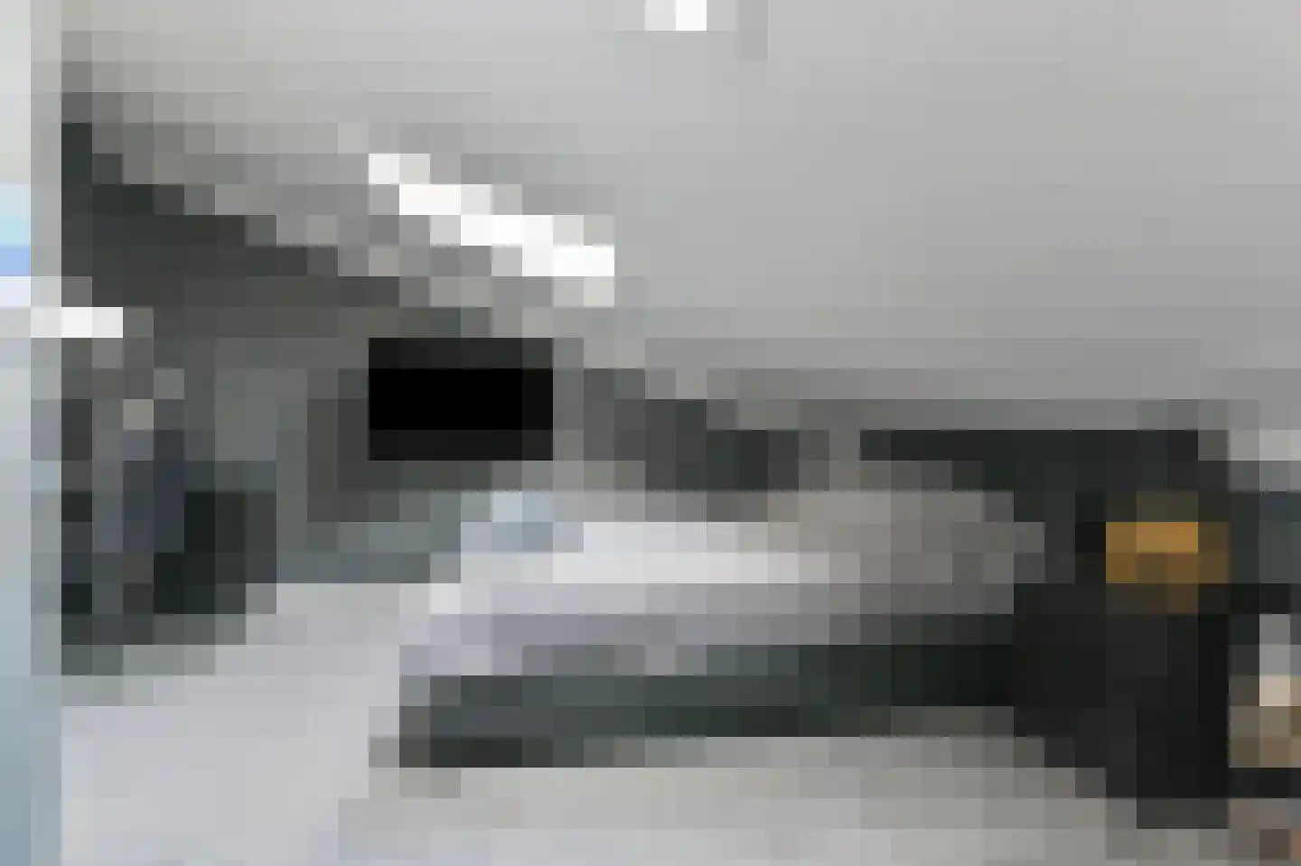 Neogotiekhof 60 Nootdorp thumbnail 45