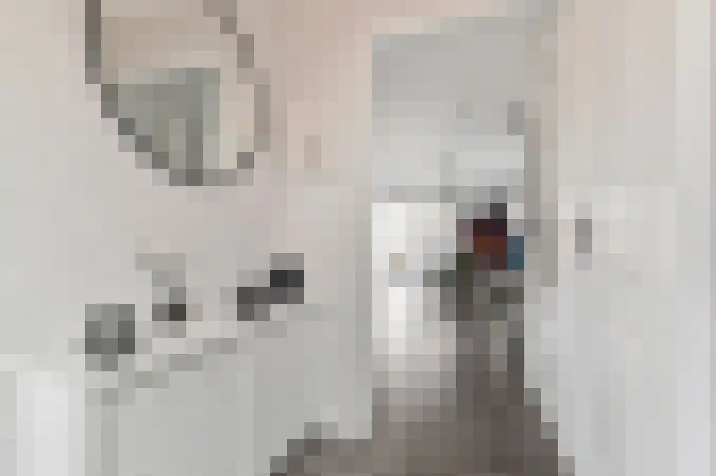 Neogotiekhof 60 Nootdorp thumbnail 9