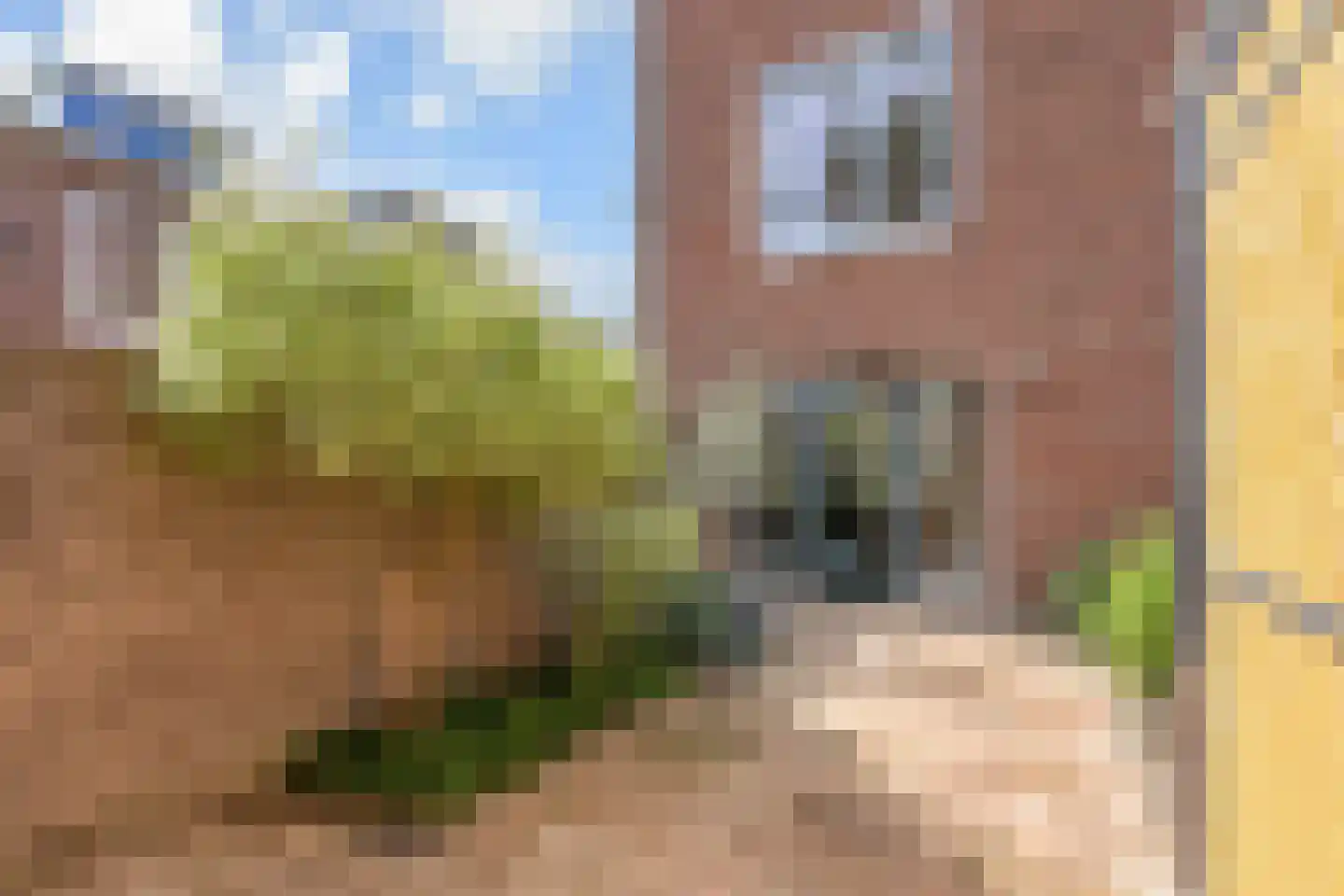 Neogotiekhof 7 Nootdorp thumbnail 12