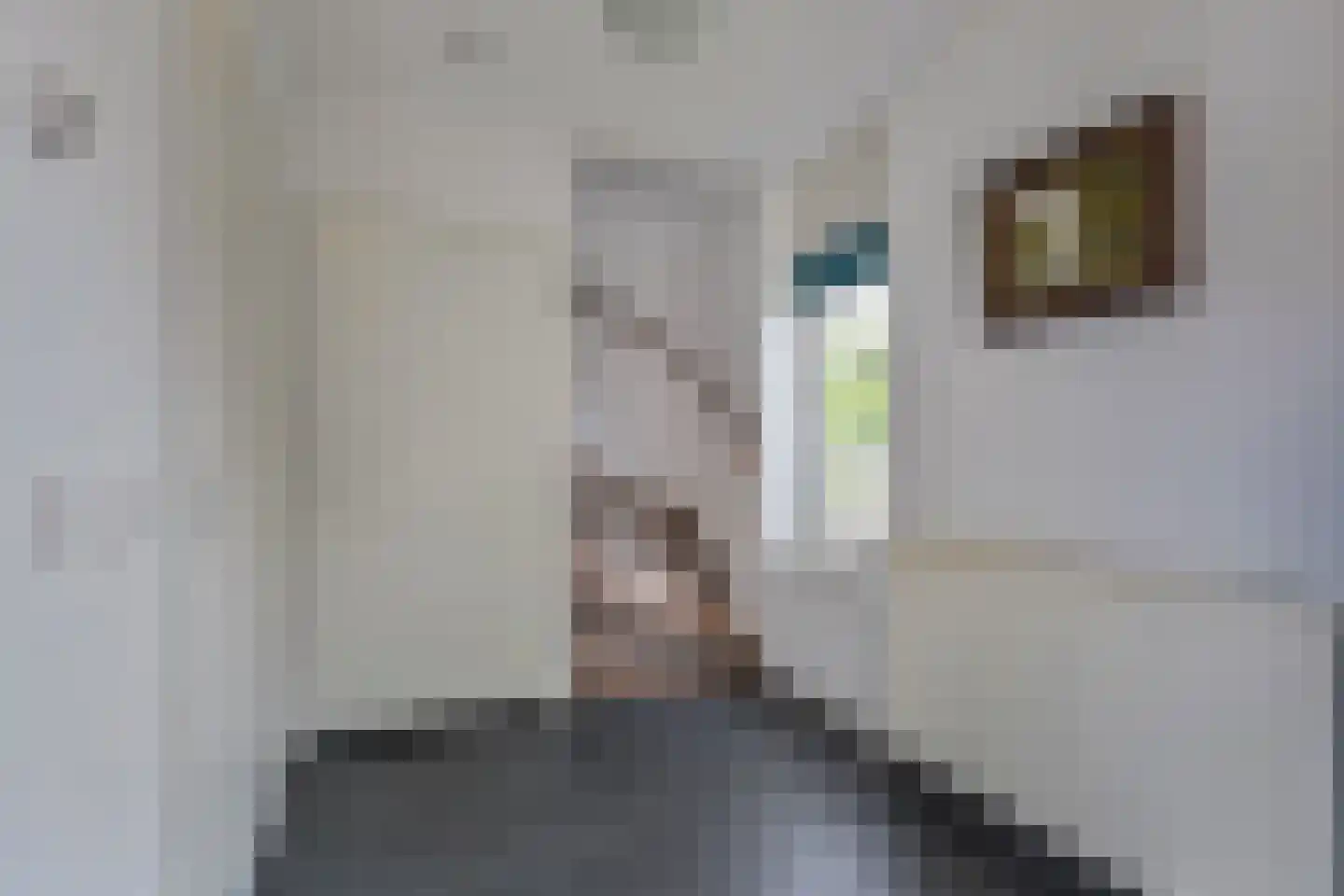 Neogotiekhof 7 Nootdorp thumbnail 17
