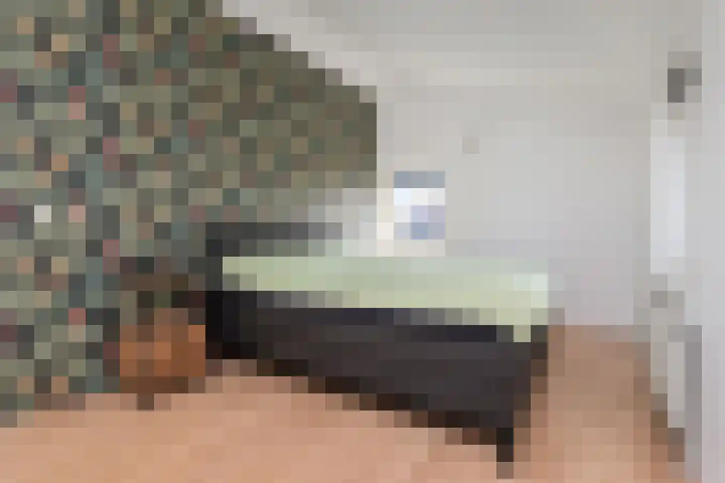 Neogotiekhof 7 Nootdorp thumbnail 32