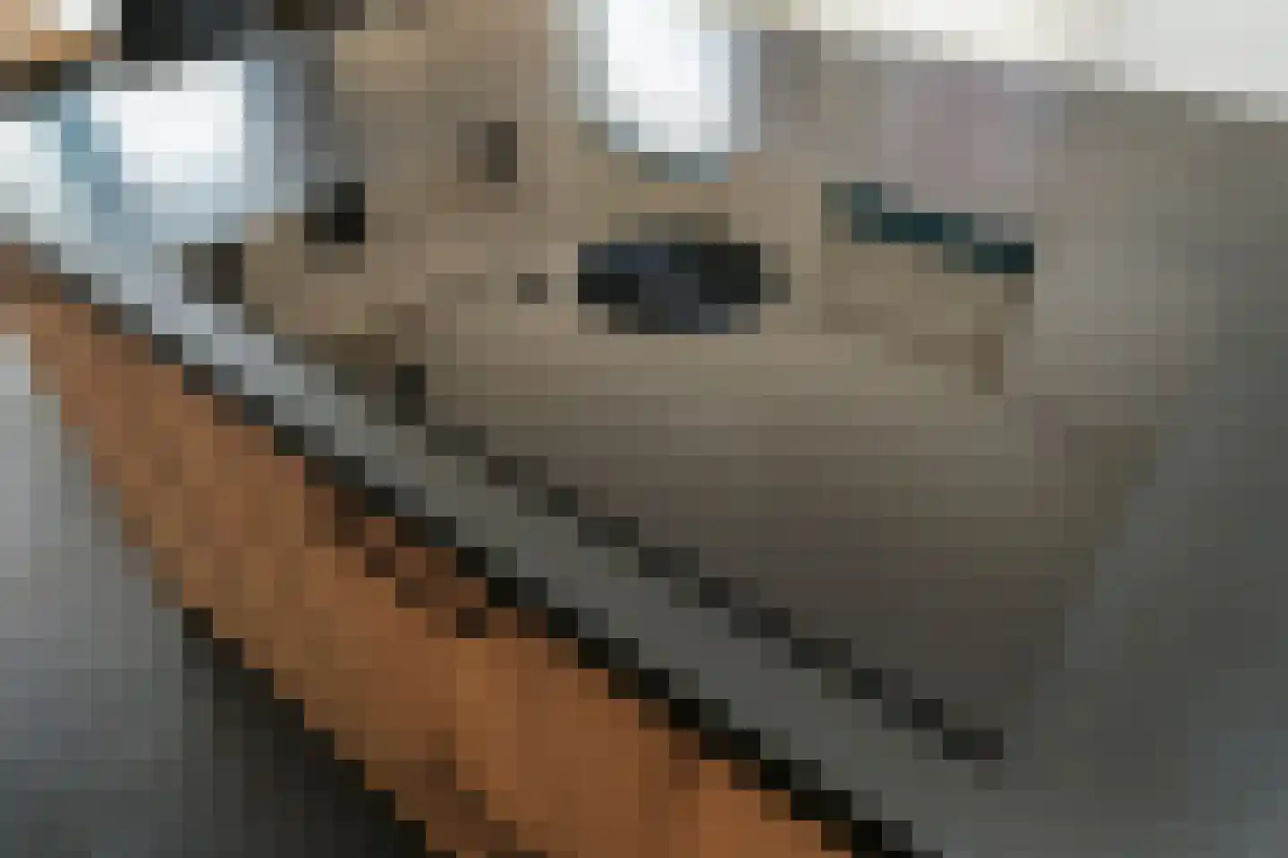 Neogotiekhof 7 Nootdorp thumbnail 8