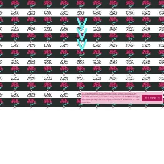 Screenshot der Website von www.neonbricksvastgoed.nl