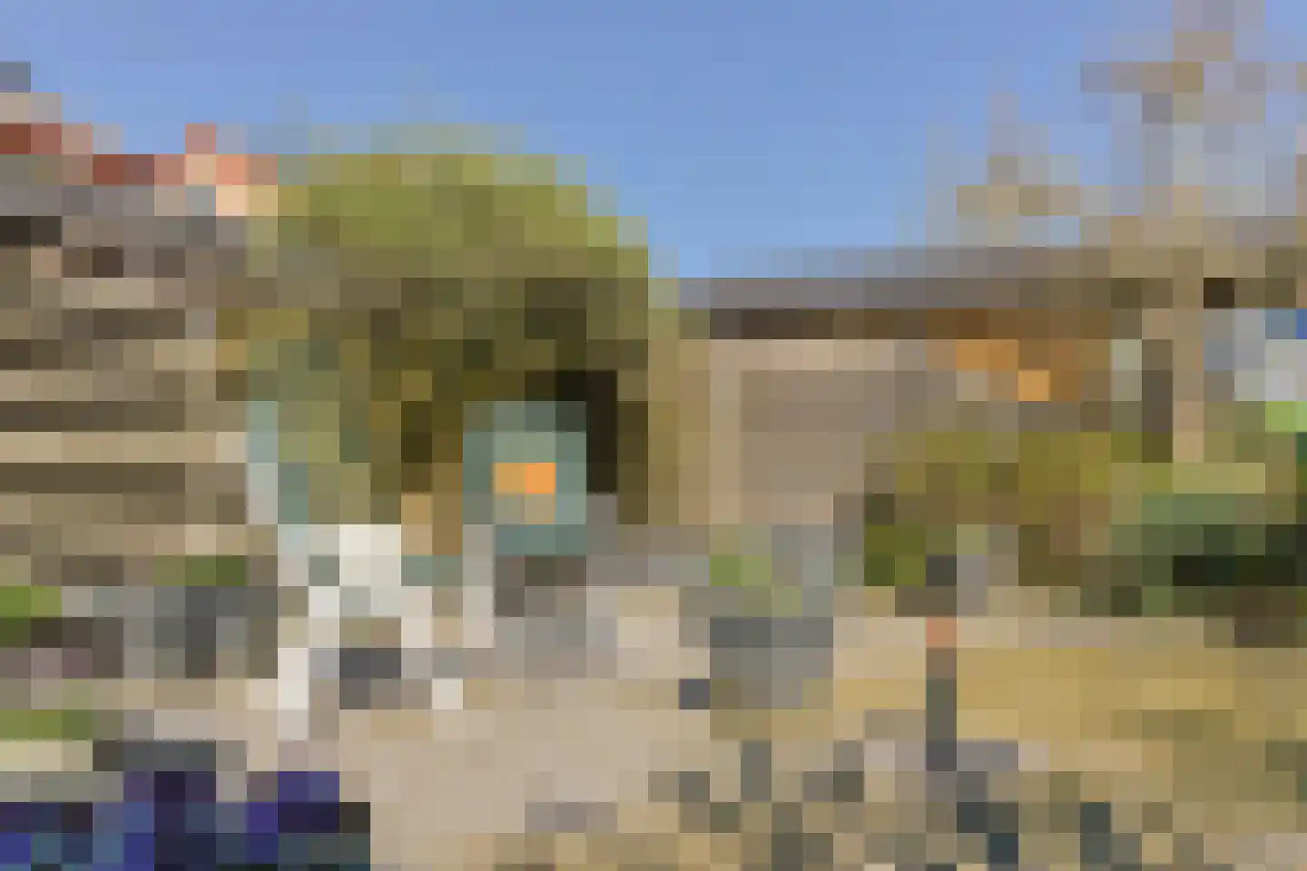 Nepalstraat 43 Alphen aan den Rijn thumbnail 46