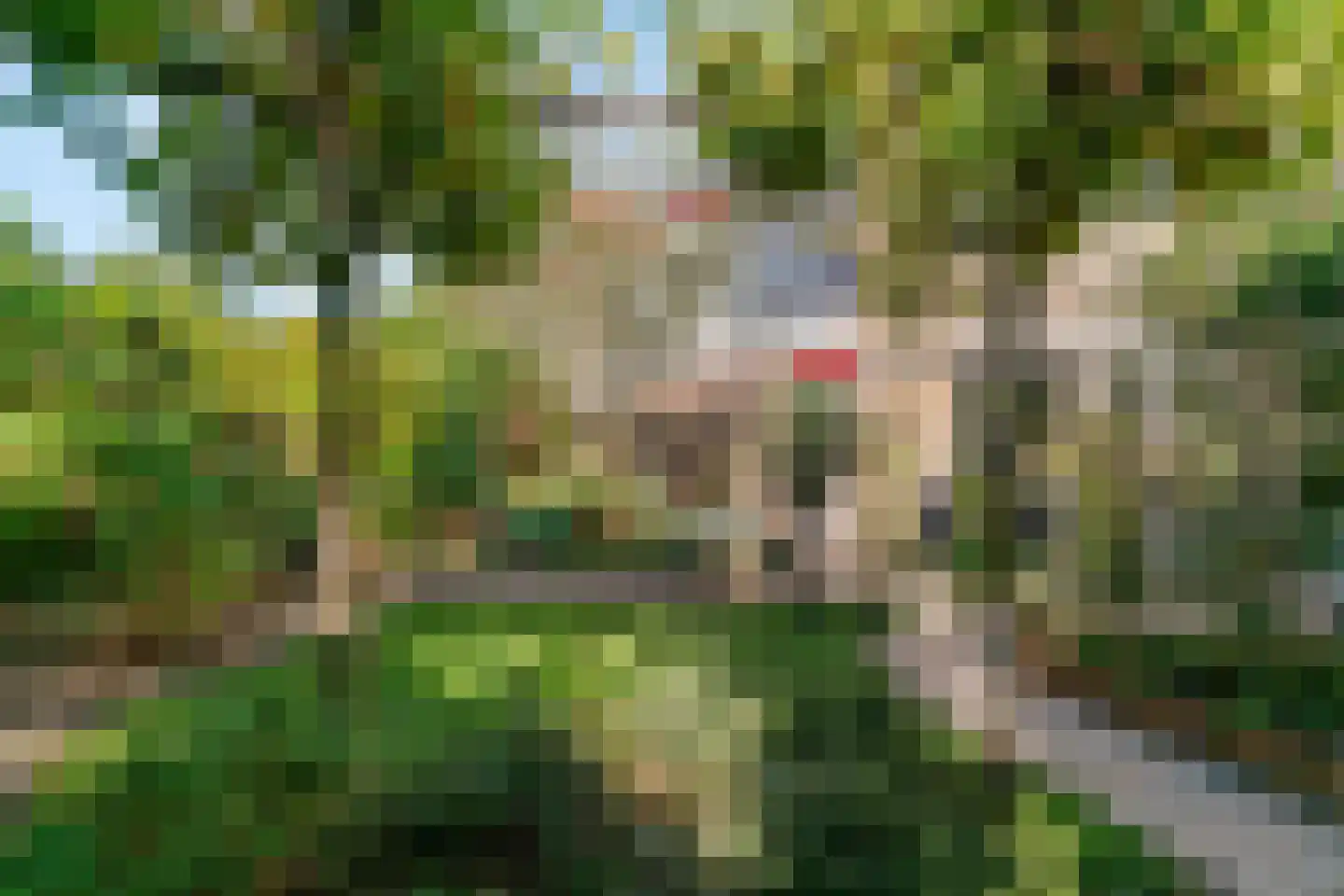 Nepalstraat 61 Alphen aan den Rijn thumbnail 12