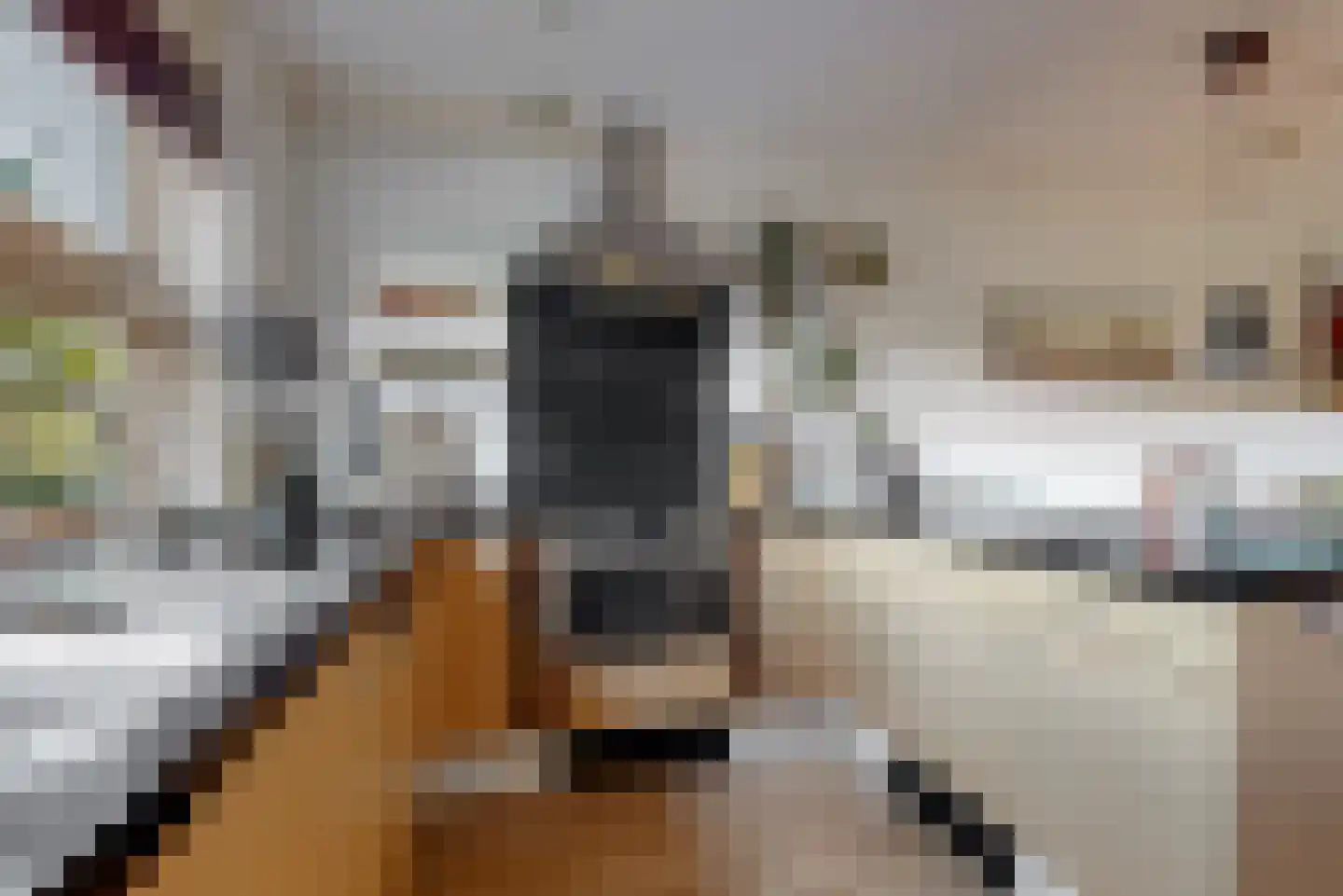 Nepalstraat 61 Alphen aan den Rijn thumbnail 8