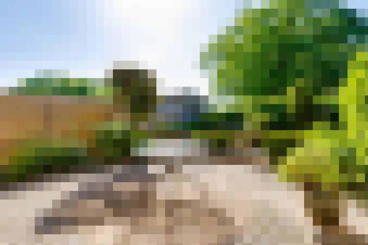 Neptunus 11 Aalten thumbnail 19