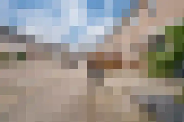 Neptunus 15 Duiven thumbnail 10