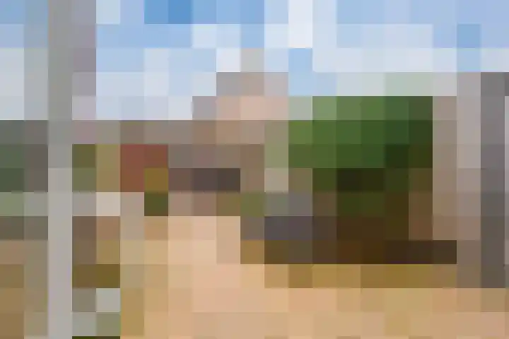 Neptunus 15 Duiven thumbnail 5