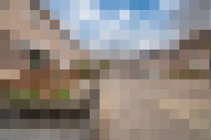 Neptunus 15 Duiven thumbnail 8