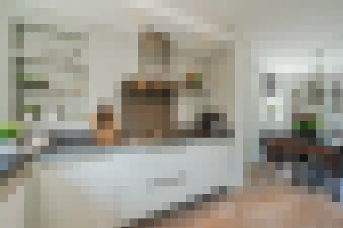 Neptunus 18 Katwijk thumbnail 21