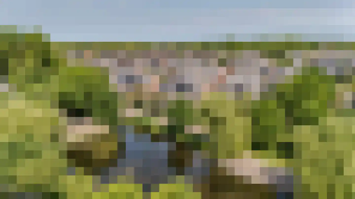 Neptunus 18 Katwijk thumbnail 56