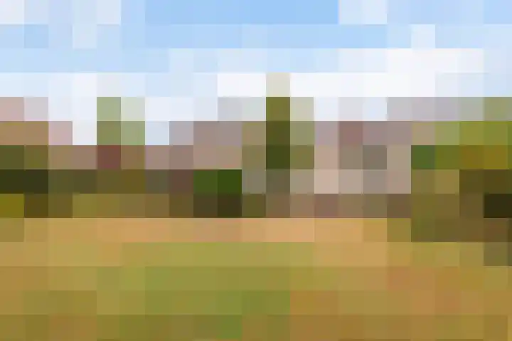 Neptunus 29 Twello thumbnail 8