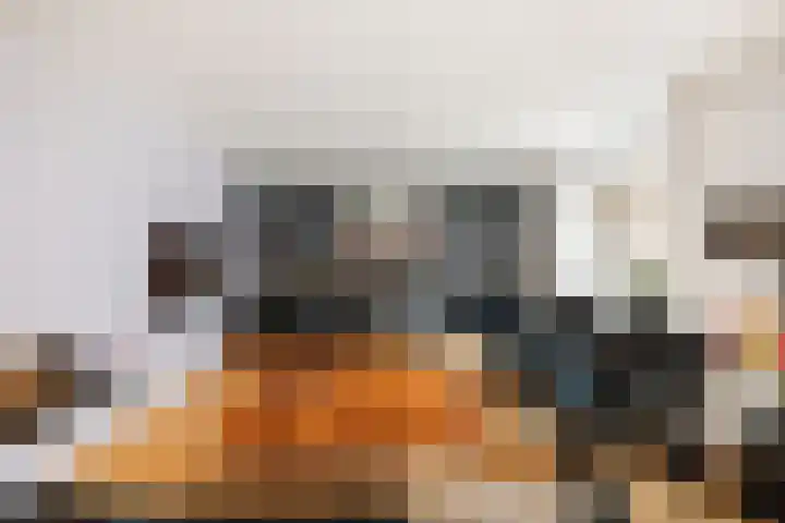 Neptunus 31 Twello thumbnail 12