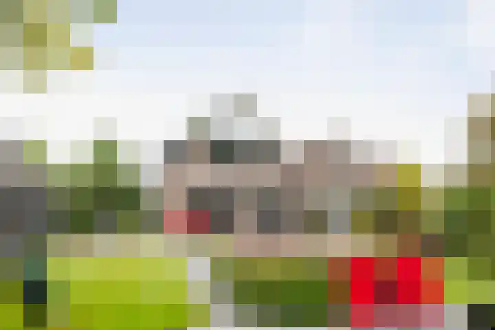 Neptunus 31 Twello thumbnail 41