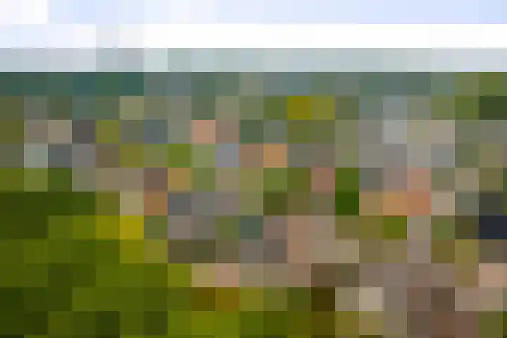 Neptunus 31 Twello thumbnail 54
