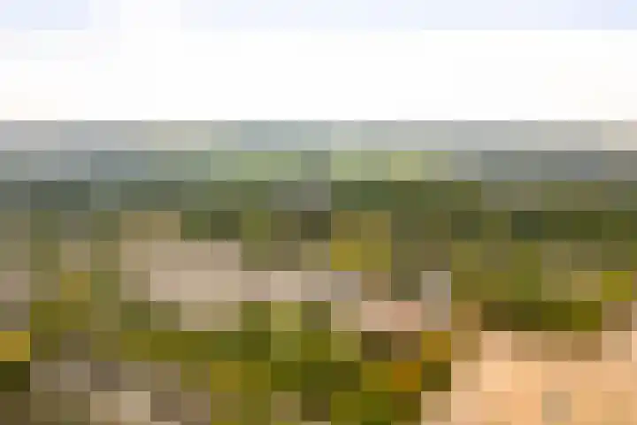 Neptunus 31 Twello thumbnail 55