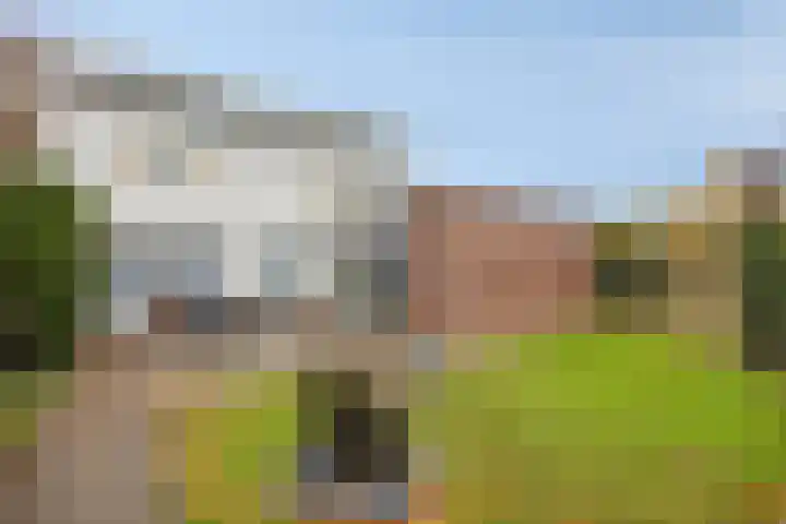 Neptunus 4 Schijndel thumbnail 5