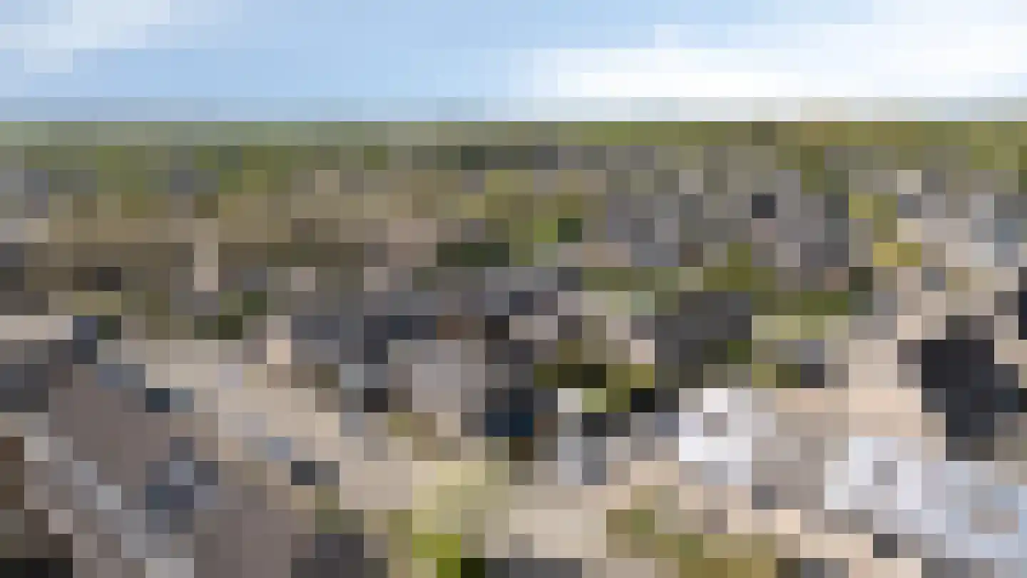 Neptunus 5 Duiven thumbnail 5