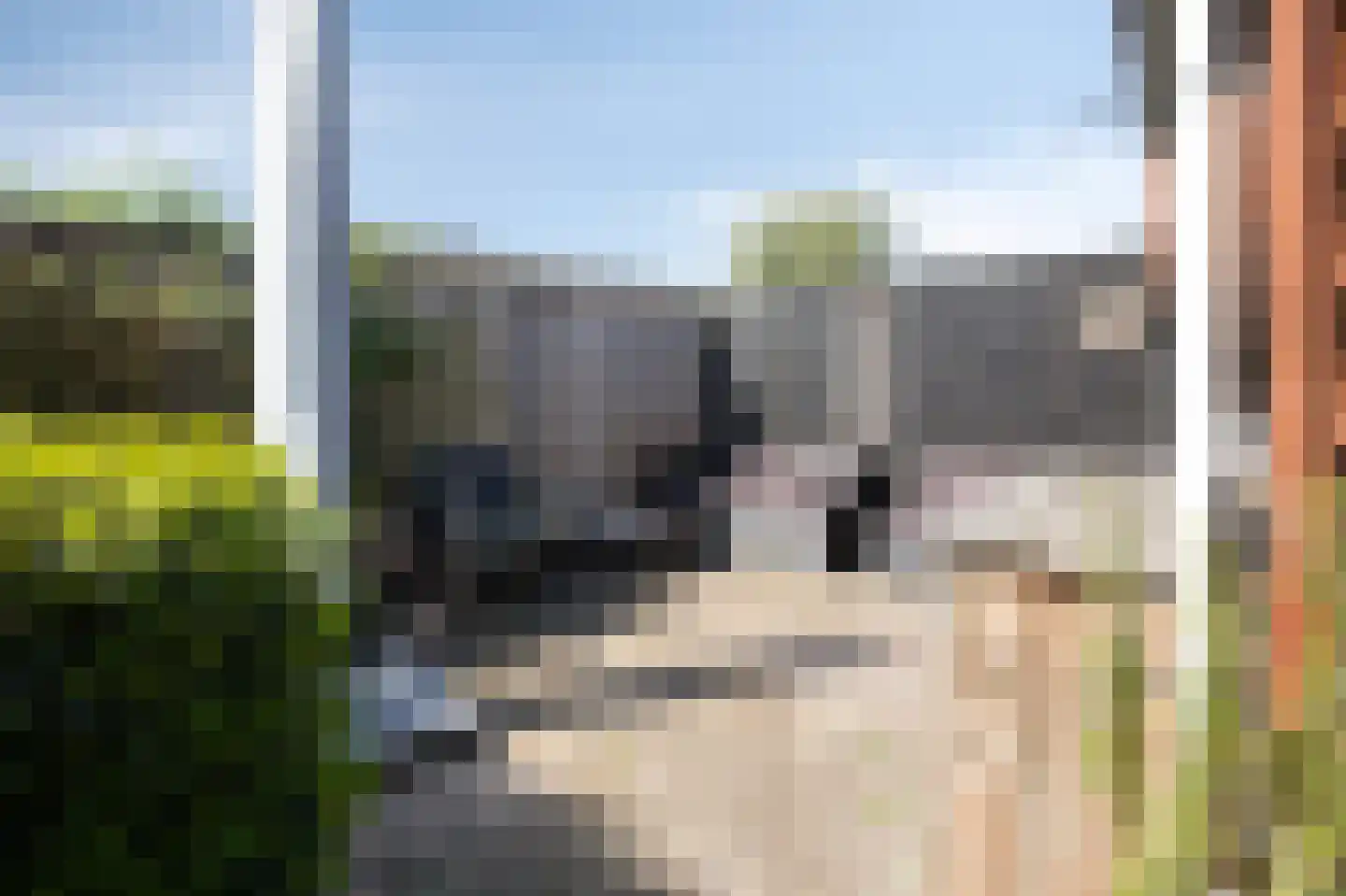 Neptunus 5 Duiven thumbnail 51