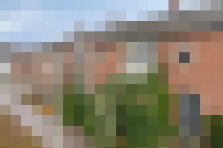 Neptunusbaan 23 Klazienaveen thumbnail 9