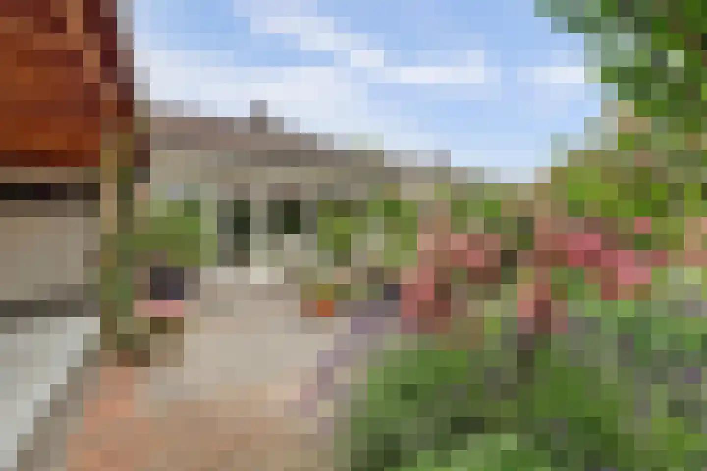 Neptunushof 11 Kerkdriel thumbnail 42