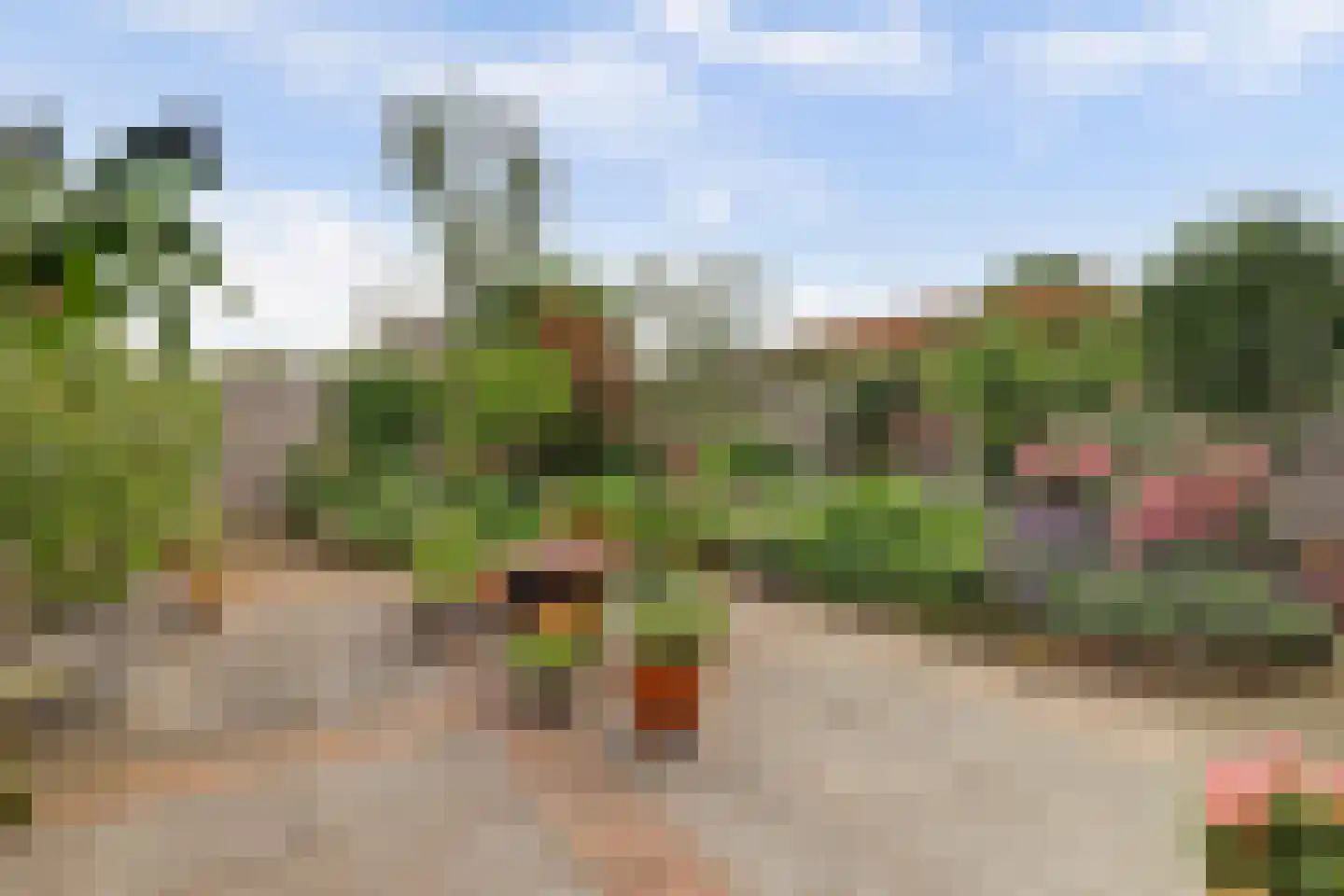 Neptunushof 11 Kerkdriel thumbnail 50