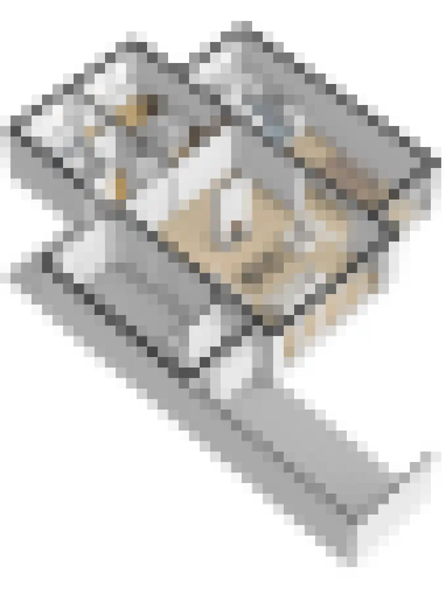 Neptunushof 11 Kerkdriel thumbnail 62